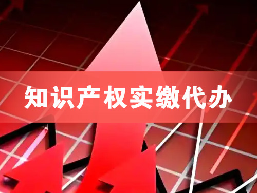 德宏知识产权实缴资本代办